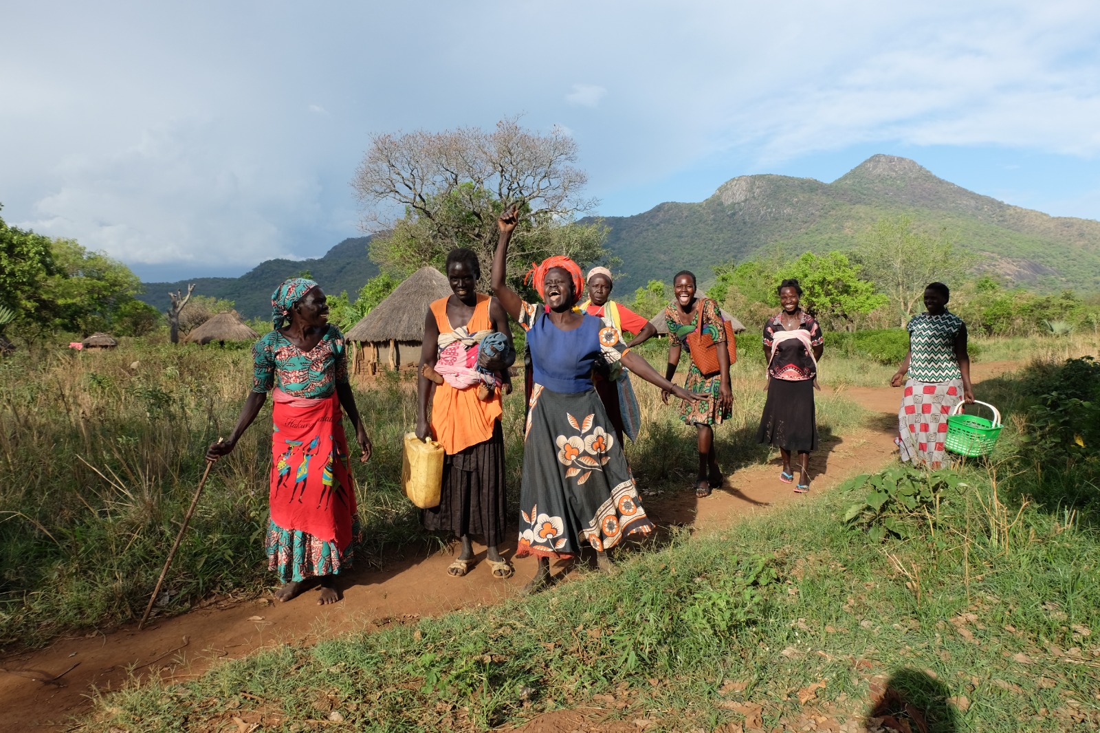 Nilotica Shea Operations